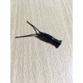 スパッシュワーム  ＨＪブラック（8本入り）