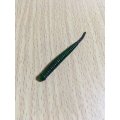 アジアダー  カブラグリーン  （11本入り）