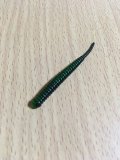 アジアダー  カブラグリーン  （11本入り）