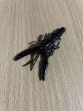 OFT スーパーベビークローバグ バラ売り 12.ブラックネオン