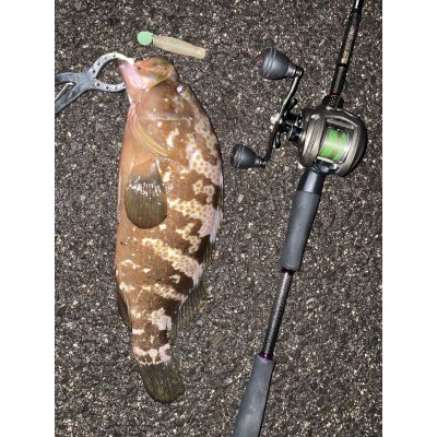 画像3: オリジナルロッド　acoustic ACSシリーズ　予約