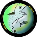 釣魚太極図ステッカー　サワラ＆ハマチ　直径９cm