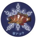 ステッカー　寒アコウ　直径6cm