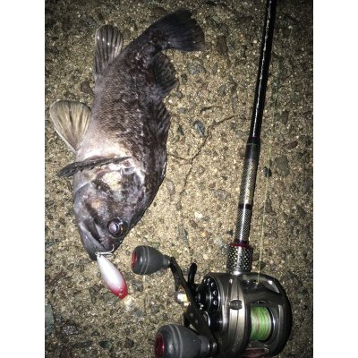 画像7: オリジナルロッド　acoustic ACSシリーズ　予約